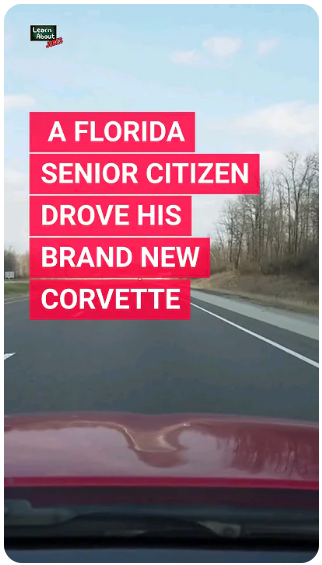 Florida Senior Police Stop ✋️ 🚔