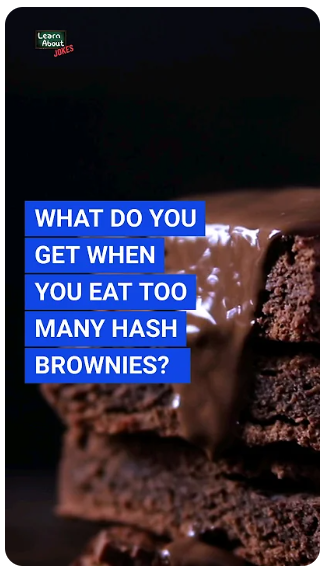 Fudgy Brownie Jokes That Won’t Upset Your Stomach 🤎🤣