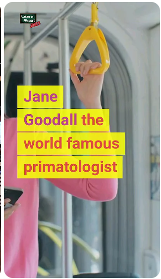 Jane Goodall Gets On a Bus 🚌