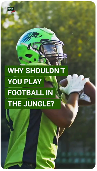 Football Jokes More Satisfying Then Scoring a Touchdown 🏈🤣