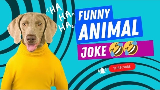 Funny Talking Dog Goes to College: You Won’t Believe What He Says 🐶🤣